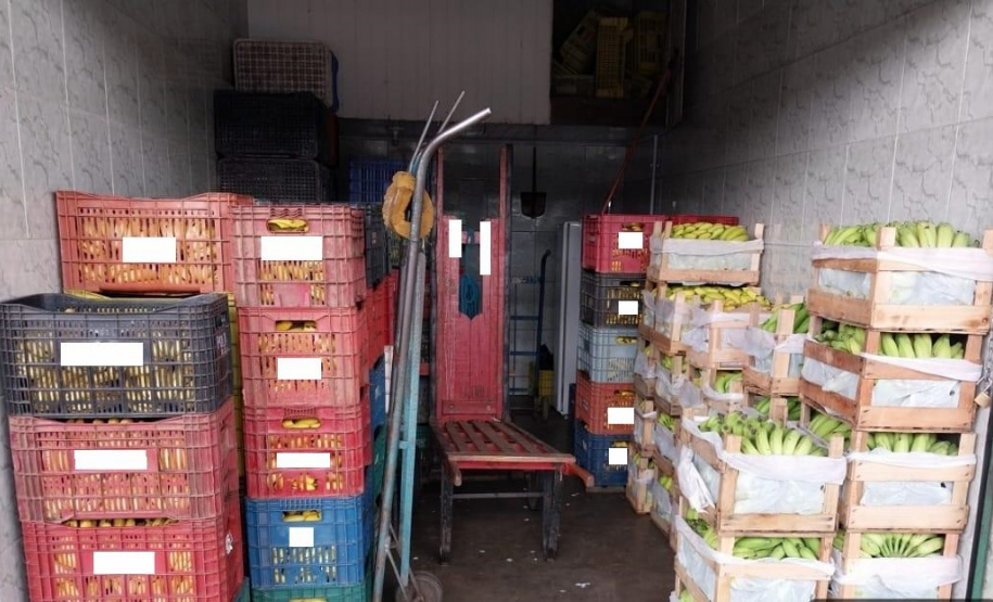 PCPR prende dois homens por furto e receptação de carga de banana do Ceasa em Curitiba