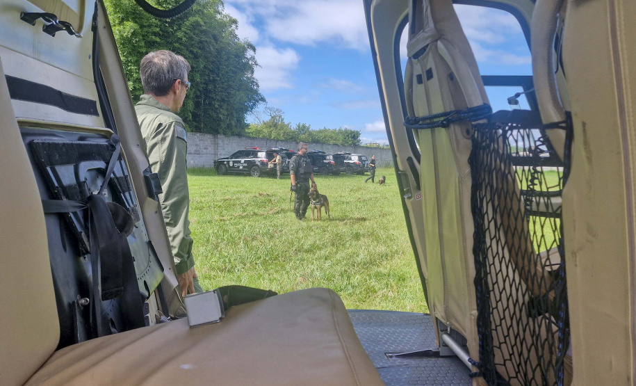 Pela 1ª vez, PCPR treina cães farejadores em aeronaves para ambientação de operações