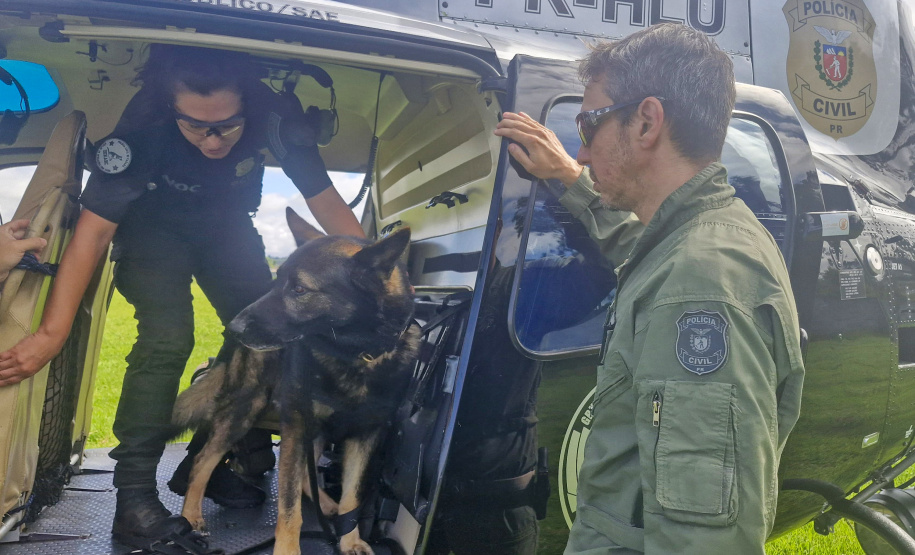 Pela 1ª vez, PCPR treina cães farejadores em aeronaves para ambientação de operações