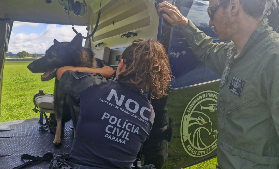 Pela 1ª vez, PCPR treina cães farejadores em aeronaves para ambientação de operações