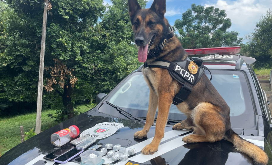 PCPR e PMPR prendem casal em flagrante por tráfico e associação para o tráfico em Saudade do Iguaçu