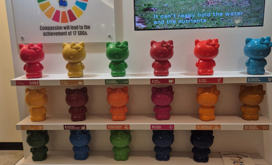 PCPR participa da Comissão da ONU sobre mulheres em Nova York