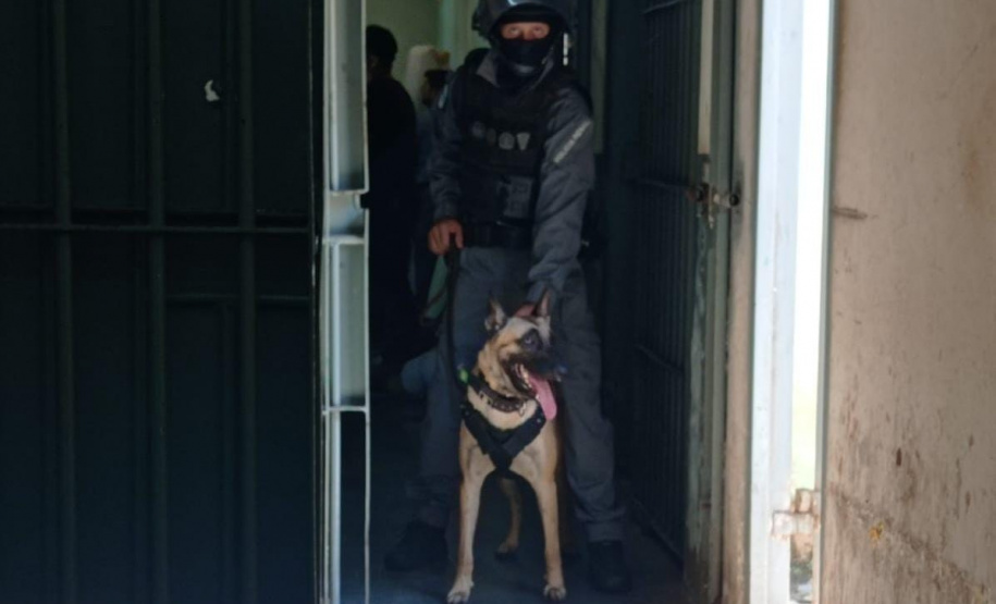 Operação Mute: em nova etapa, Polícia Penal vistoria nove unidades prisionais