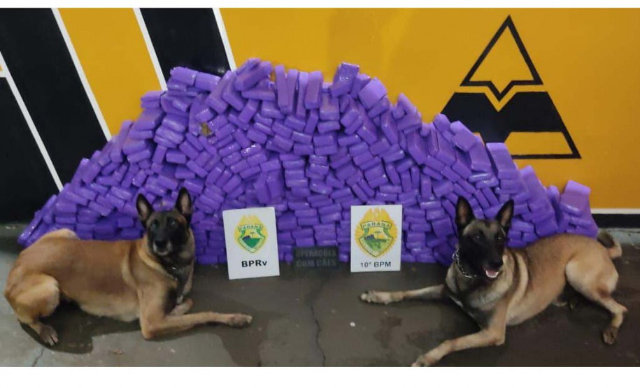 PM apreende 21 mil cigarros eletrônicos e 238 kg de maconha em rodovia de Rolândia