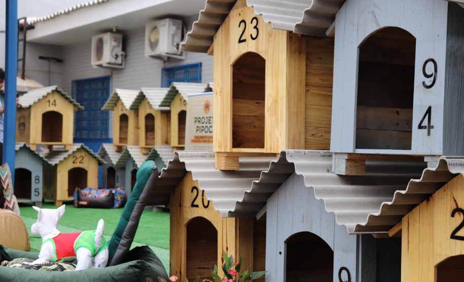 PIMP-UP se destaca com a arrecadação do trabalho dos apenados