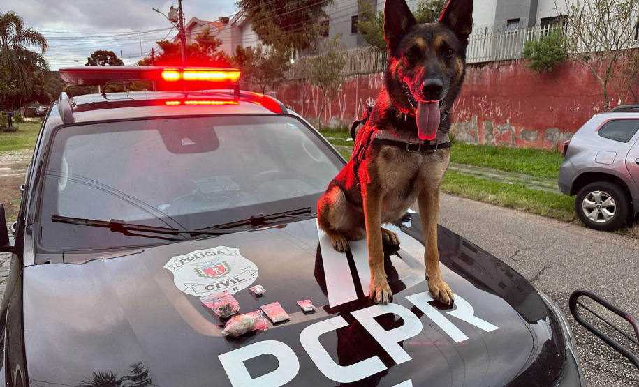 PCPR cumpre 36 mandados contra organização ligada ao tráfico e lavagem de dinheiro