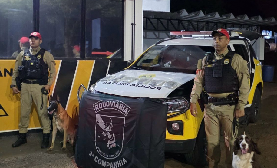 Polícia Militar apreende 3,1 kg de haxixe em Rolândia