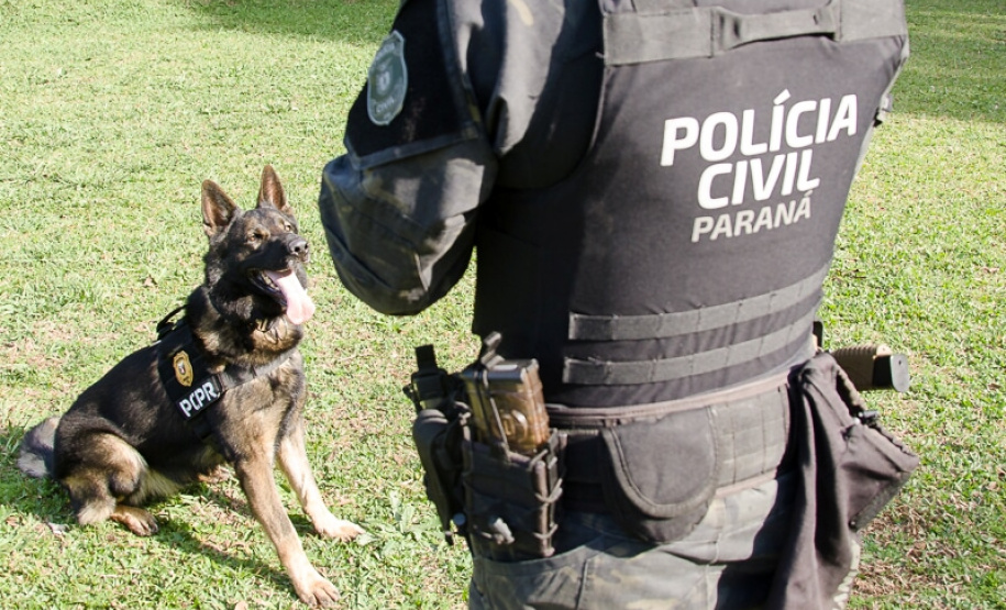 PCPR abre inscrições para o 1° Curso de Operações Policiais com Cães