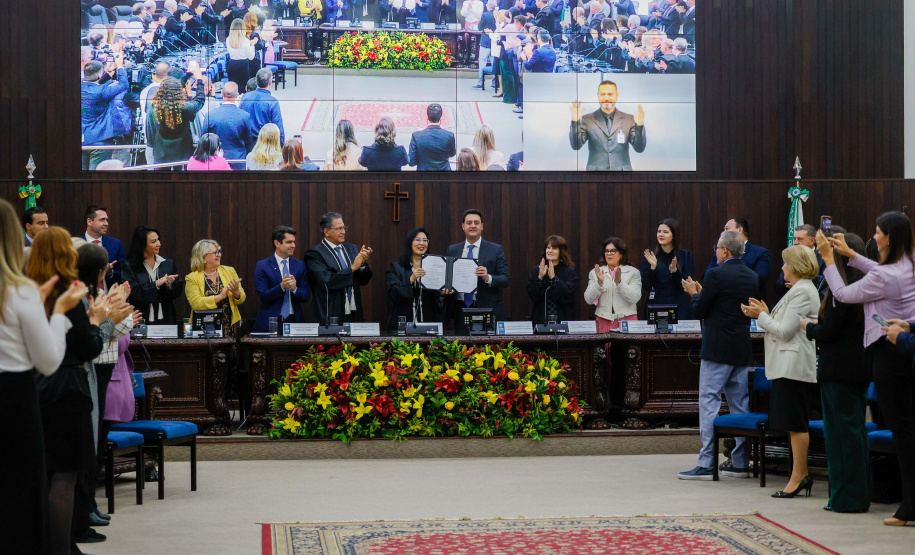 Governador sanciona lei que cria Câmara Criminal especializada em crimes contra a mulher