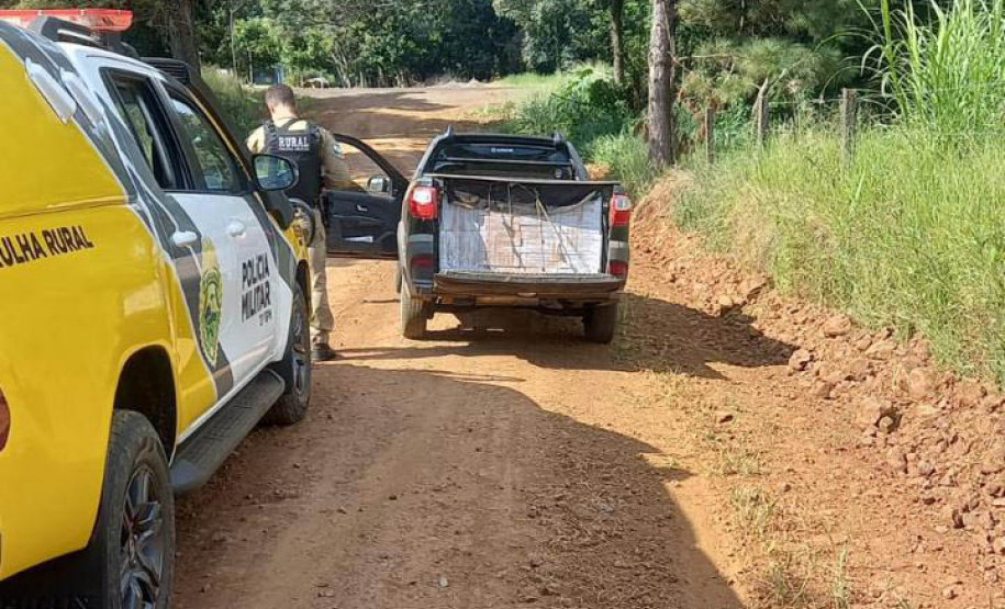 Com Patrulha Rural da PMPR, número de roubos no campo cai 34,6% em três anos no Paraná