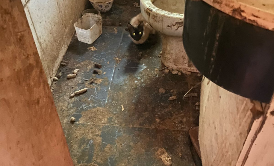 Abril Laranja: maus tratos não se limitam à agressão física, denuncie