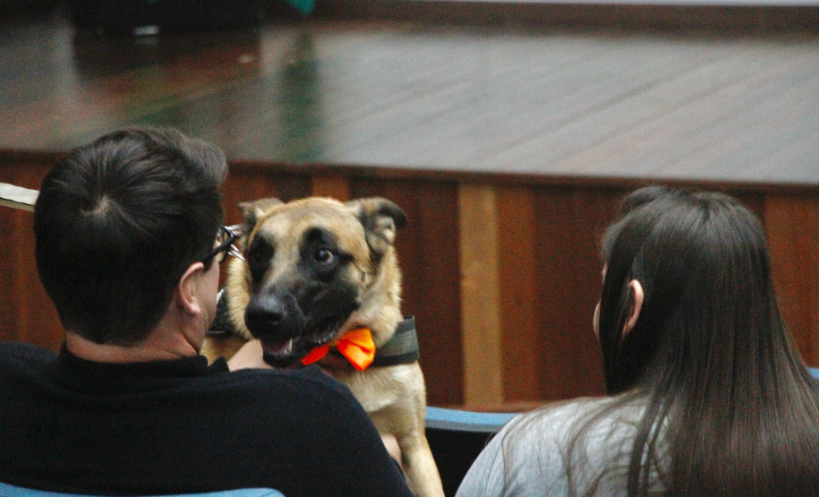 Servidores da Sesp visitam unidades da Polícia Científica em Curitiba