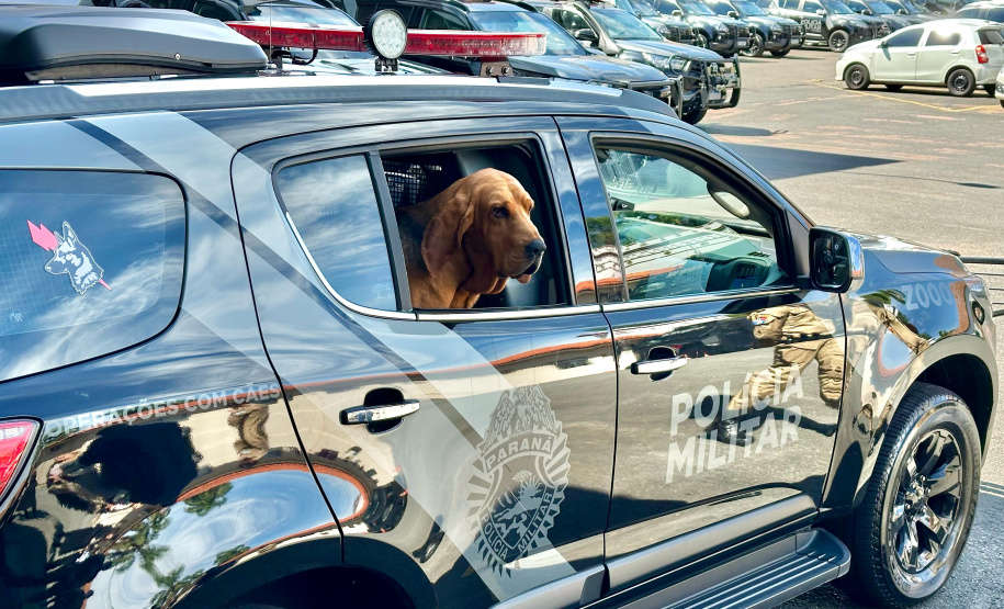 Sesp promove visita de servidores à sede da PMPR