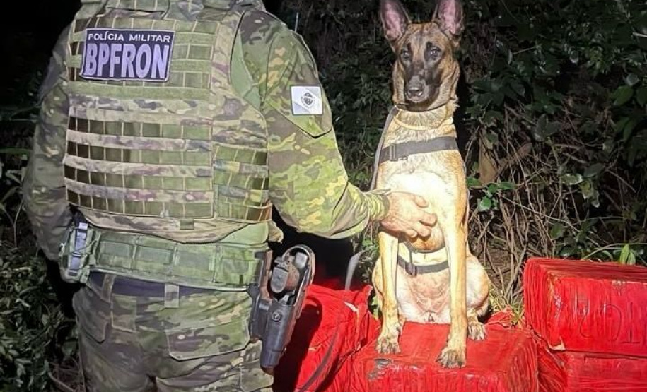 PMPR apreende quase duas toneladas de maconha em Marechal Cândido Rondon