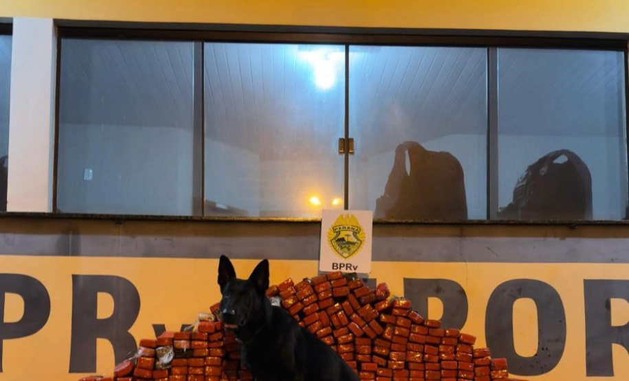 PMPR apreende 254 quilos de maconha no noroeste do estado