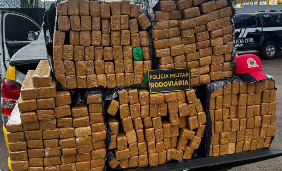 Paraná bate recorde de apreensão de drogas no 1.º trimestre: crescimento de 155%