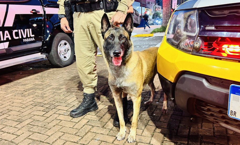 Operação Diakopí II reforça policiamento nas regiões do interior do estado e de fronteira