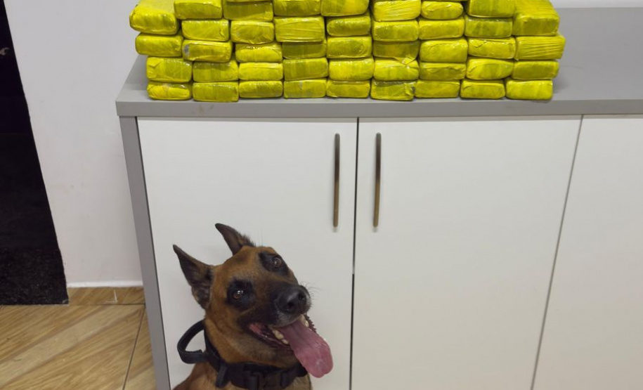 BPRv reforça policiamento nas rodovias durante o feriado