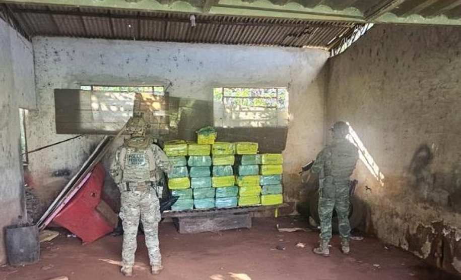 PMPR e PCPR apreendem quase uma tonelada de maconha em ação integrada com a PF