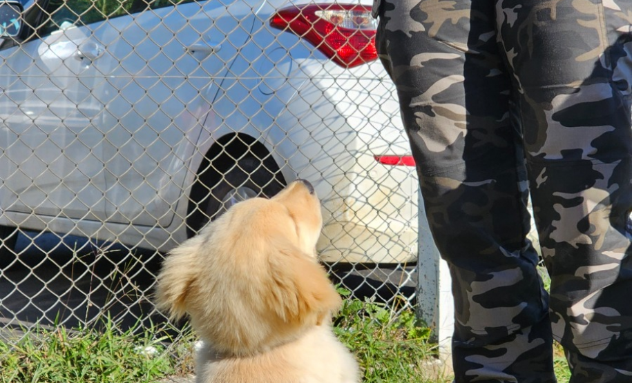 PMPR inicia projeto de terapia com cães para crianças com Transtorno do Espectro Autista