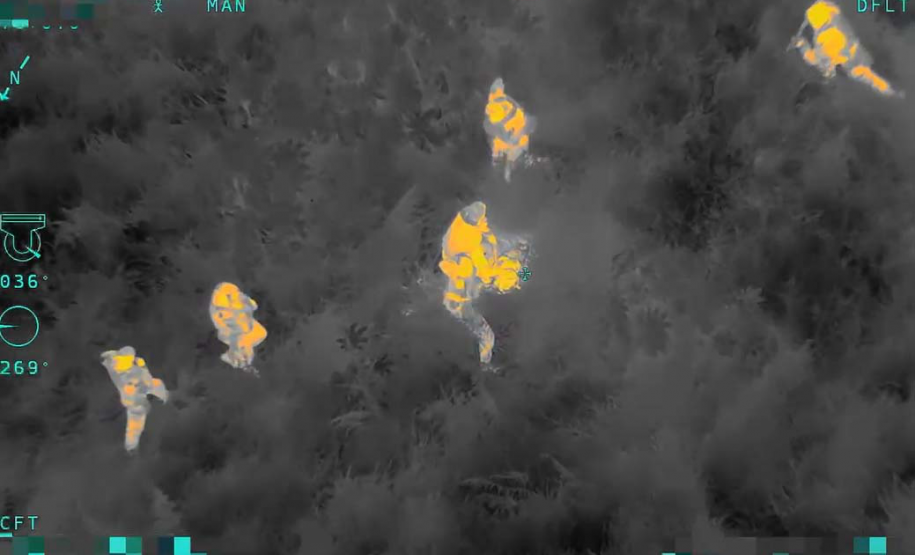 Câmeras térmicas: Falcão da PMPR detecta fugitivo que transportava 215 kg de drogas