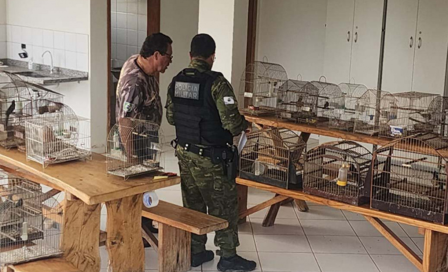 Em operação conjunta com a Polícia Ambiental, IAT apreende 57 pássaros em Ibaiti