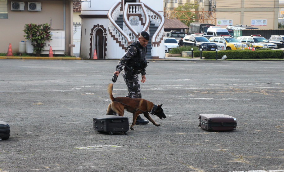 PMPR realiza solenidade de formatura do VII Curso de Cinotecnia