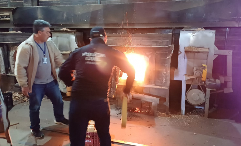 PCPR incinera cerca de duas toneladas de drogas em Araucária