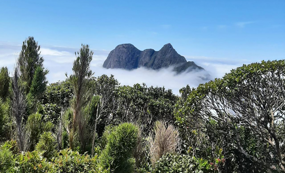 Início da "temporada de montanhas" exige planejamento e cuidados - Na foto, Pico Paraná