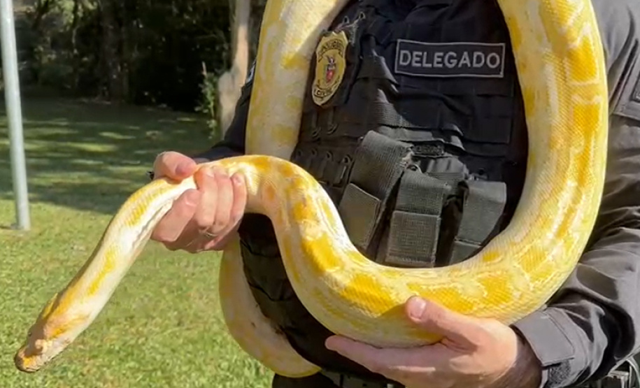 PCPR deflagra operação para desarticular um dos maiores grupos de tráfico internacional de animais do País