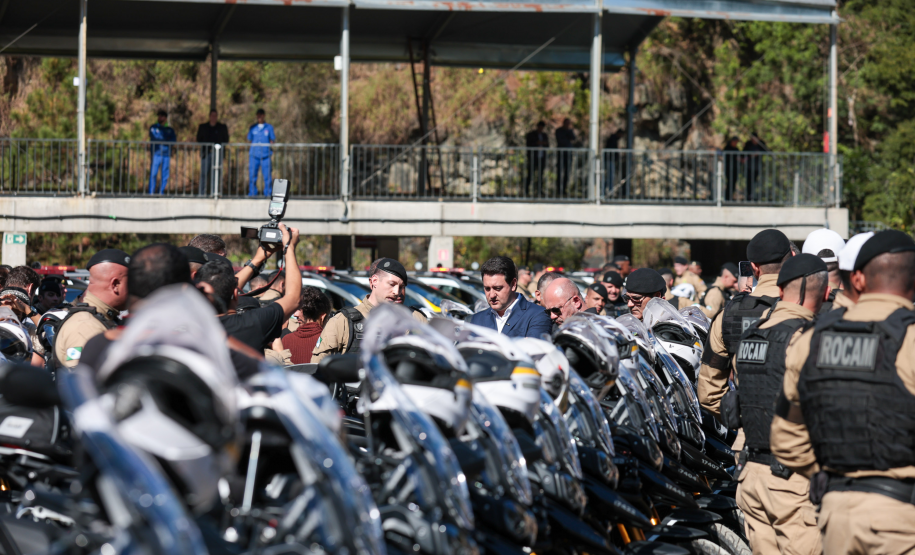 Homicídios e roubos despencam em 2024, aponta Anuário; Paraná figura entre os mais seguros do Brasil
