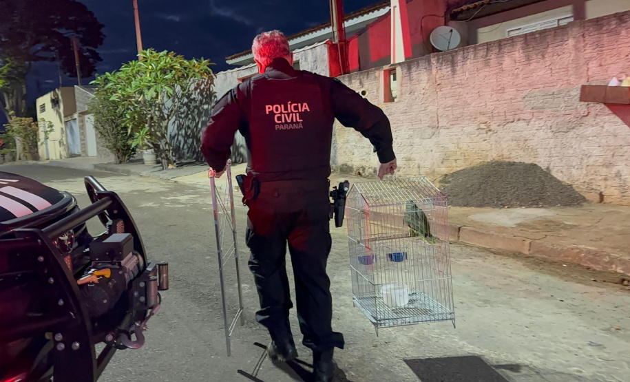 PCPR prende 12 em operação contra organização criminosa envolvida com tráfico e tribunal do crime em Jacarezinho