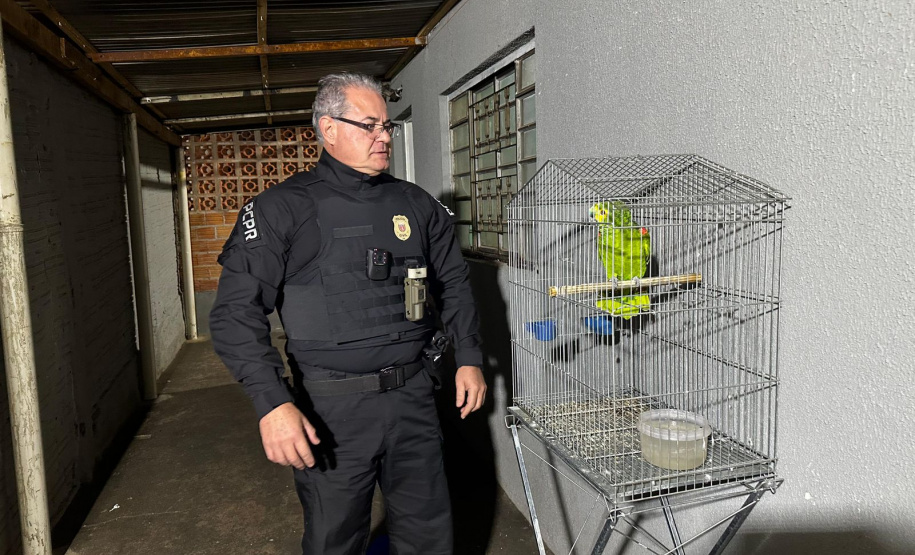 PCPR prende 12 em operação contra organização criminosa envolvida com tráfico e tribunal do crime em Jacarezinho