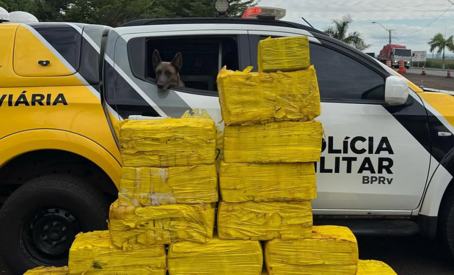 Faro apurado: canis da PMPR causam prejuízo de R$ 900 milhões ao crime desde 2023