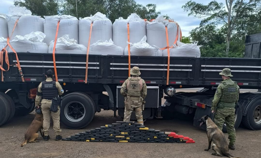 Faro apurado: canis da PMPR causam prejuízo de R$ 900 milhões ao crime desde 2023