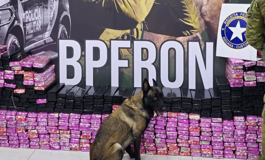 Faro apurado: canis da PMPR causam prejuízo de R$ 900 milhões ao crime desde 2023