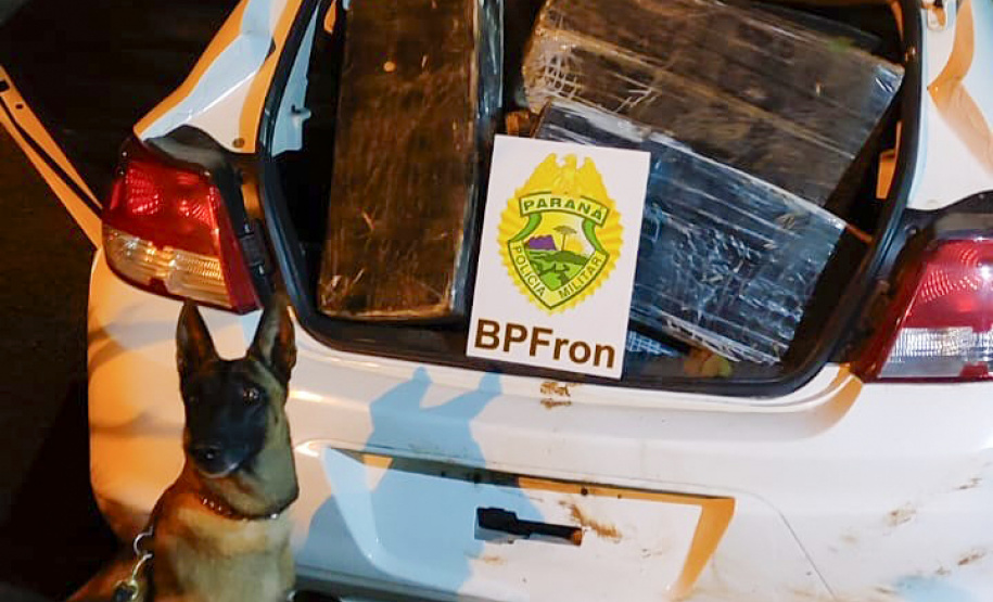 Faro apurado: canis da PMPR causam prejuízo de R$ 900 milhões ao crime desde 2023