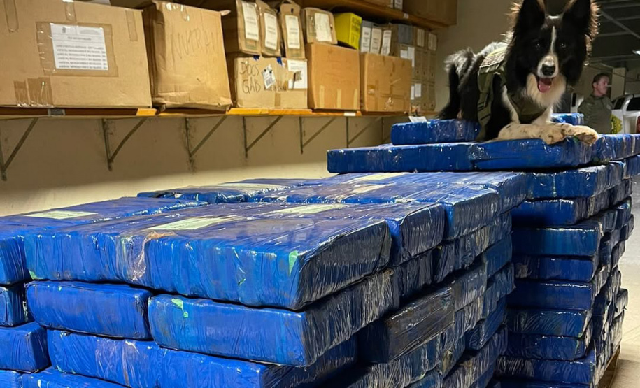 Faro apurado: canis da PMPR causam prejuízo de R$ 900 milhões ao crime desde 2023