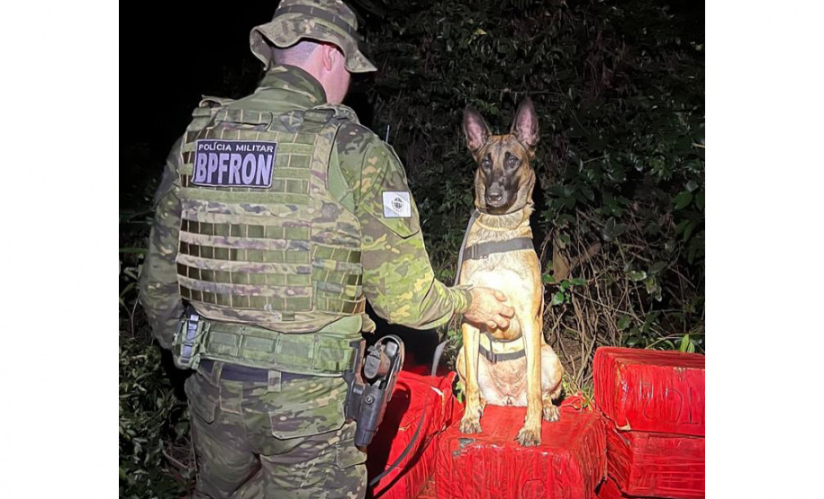 Faro apurado: canis da PMPR causam prejuízo de R$ 900 milhões ao crime desde 2023