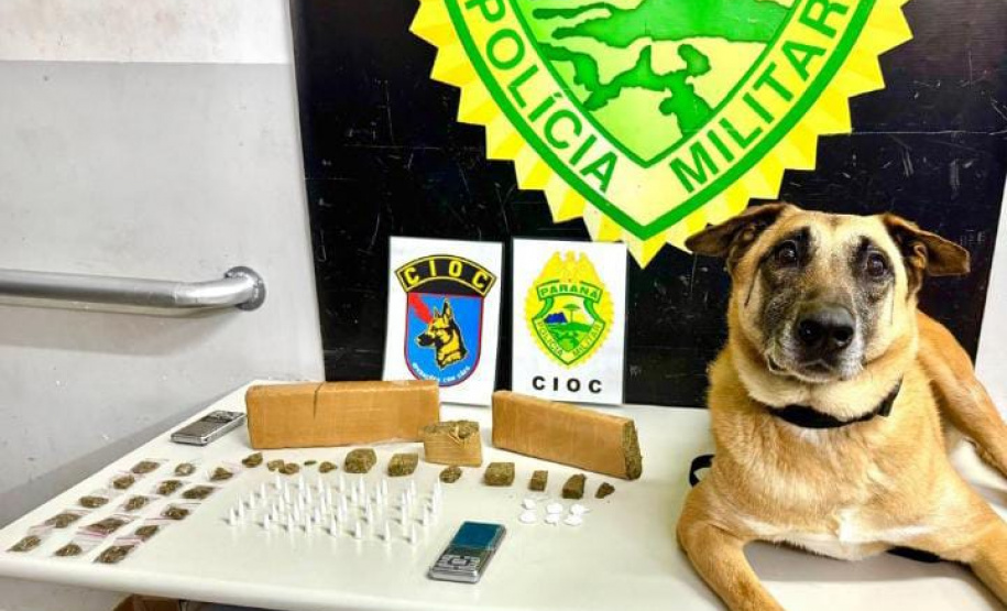 Unidades do Comando de Missões Especiais da PMPR realizam apreensões e prisões durante operação na capital