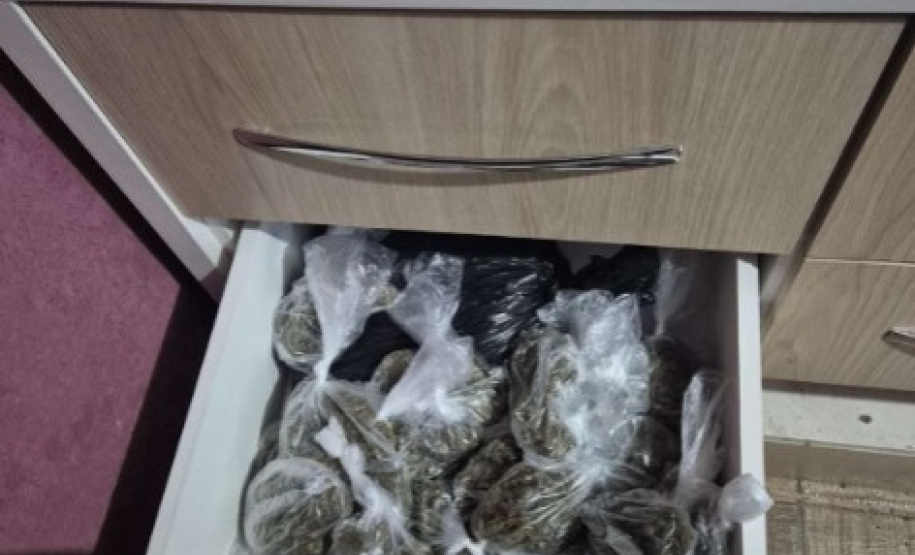 PCPR apreende 327 quilos de maconha gourmet e prende três pessoas por tráfico