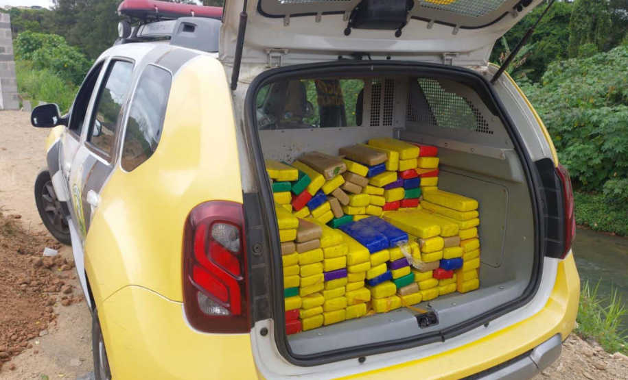 Forças de segurança do Paraná apreenderam mais de um terço das drogas do Brasil em 2024