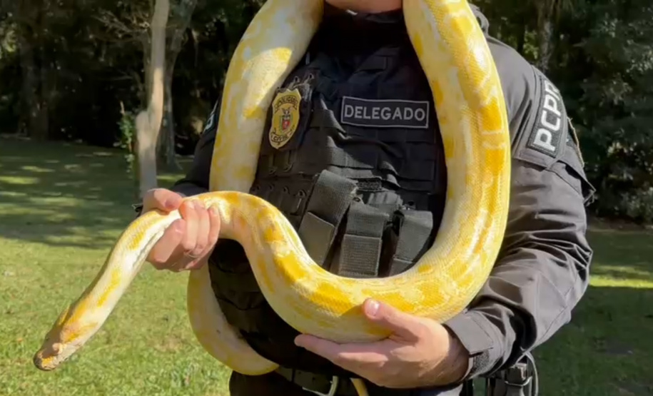 XVIII Corrida da Polícia Civil do Paraná vai unir responsabilidade ambiental e social