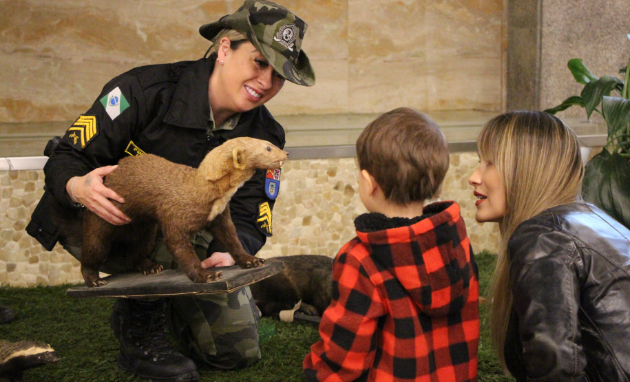 PMPR lança concurso de fotografia "Exemplos que Arrastam" como parte das comemorações dos 171 anos da corporação