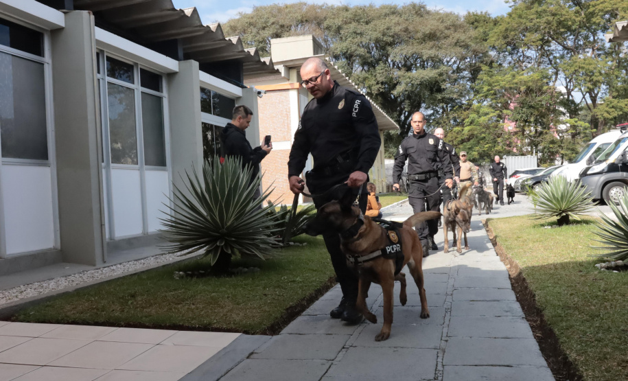 PCPR forma sete condutores em curso inédito de operações policiais com cães
