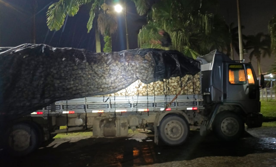 PMPR aplica multa de R$ 1,7 milhão por transporte ilegal de palmito juçara em Morretes