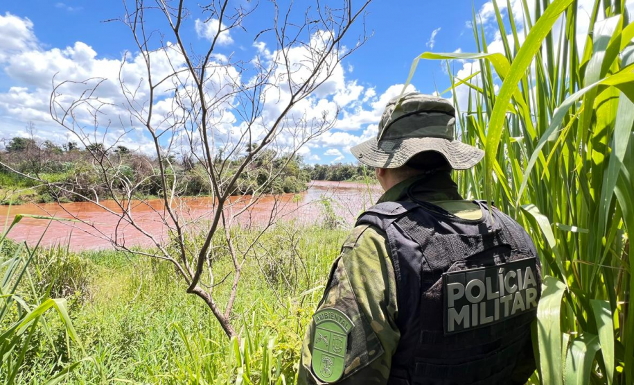 Polícia Militar do Paraná resgata 216 animais e coíbe desmatamento em área de 159 hectares durante Mês do Meio Ambiente