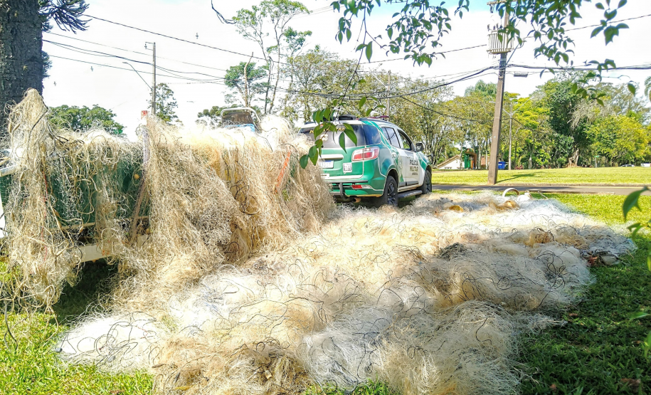 Polícia Militar do Paraná resgata 216 animais e coíbe desmatamento em área de 159 hectares durante Mês do Meio Ambiente