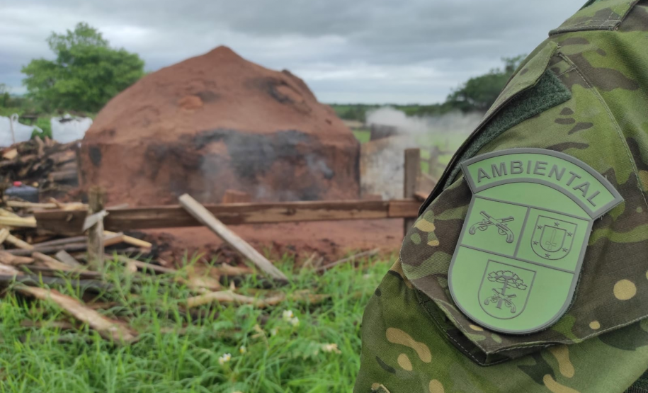Polícia Militar do Paraná resgata 216 animais e coíbe desmatamento em área de 159 hectares durante Mês do Meio Ambiente