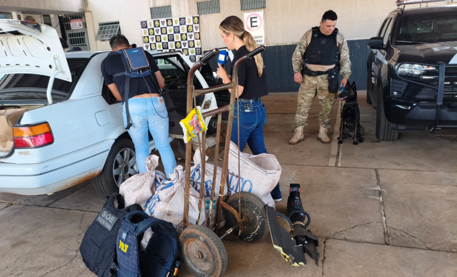 Cadela da Polícia Penal do Paraná encontra 81 kg de maconha em ação com a PRF